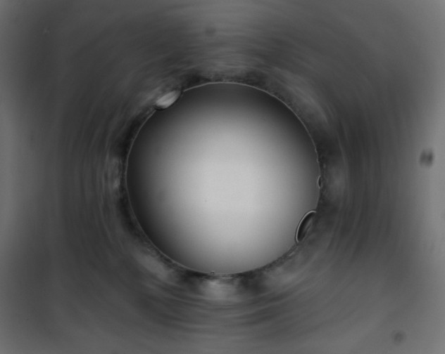 X0000101140232200807071133