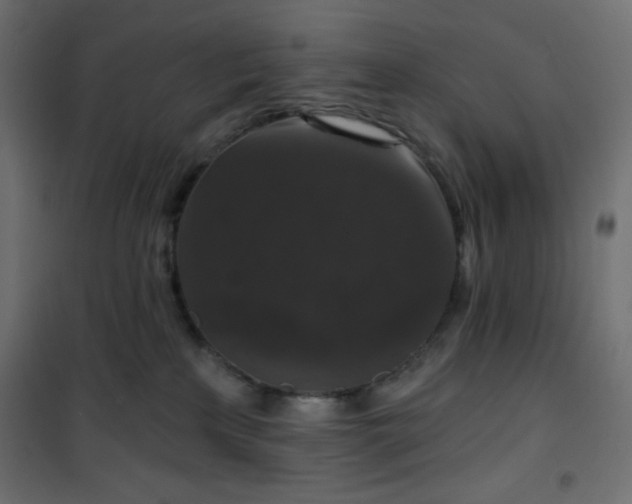 X0000101140233200807071133