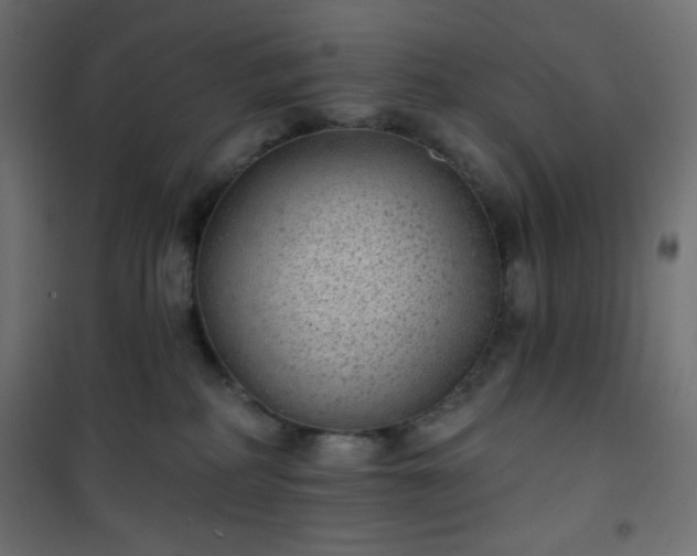 X0000101140234200807071133