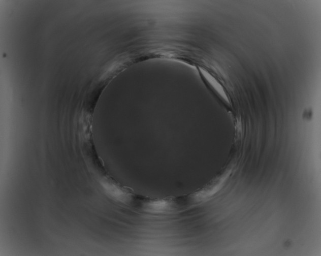 X0000101140237200807071133