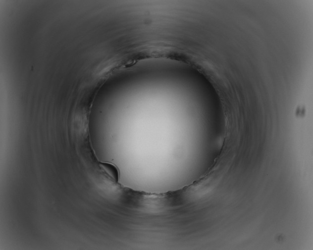 X0000101140240200807071133