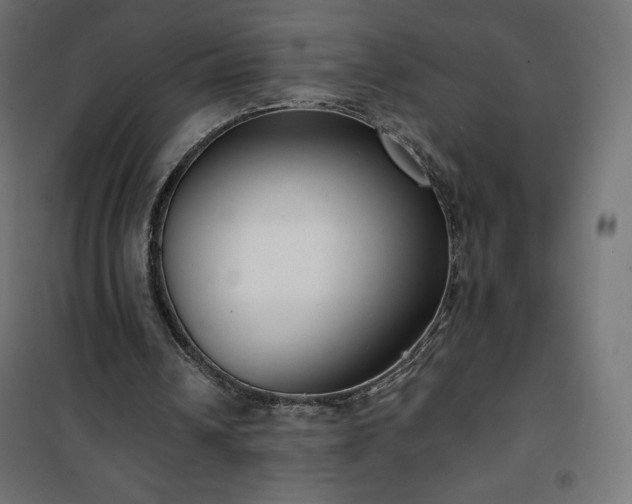 X0000101140242200807071132