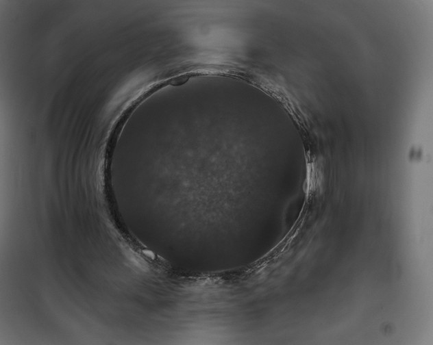 X0000101140243200807071132