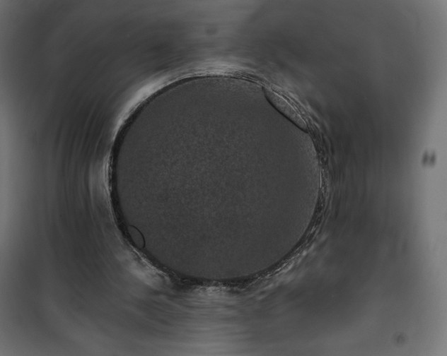 X0000101140244200807071132