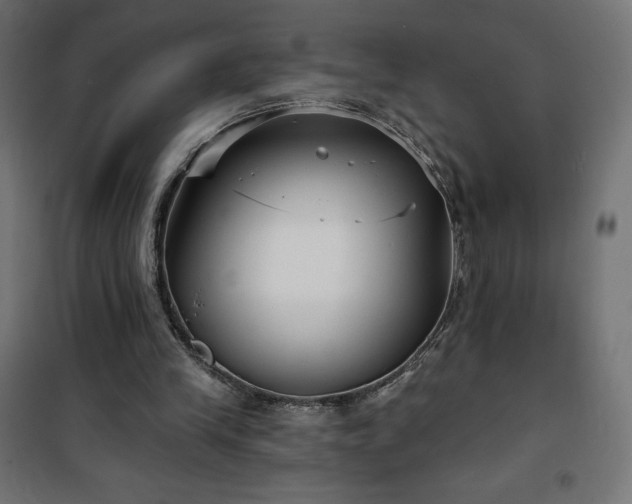 X0000101140245200807071132