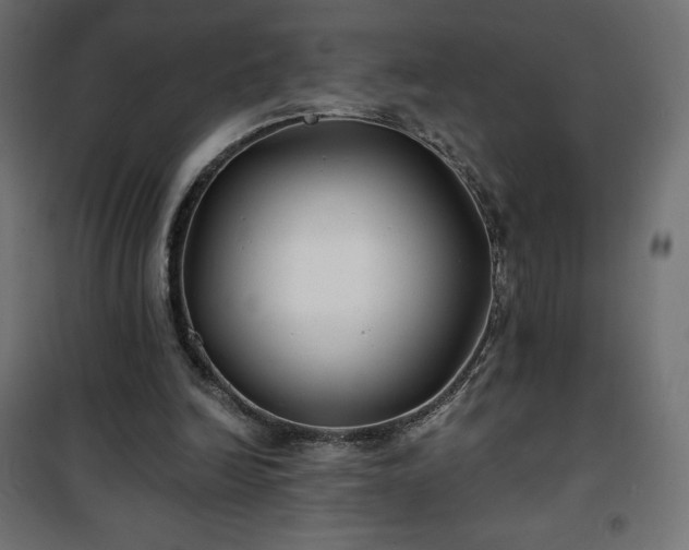 X0000101140246200807071132