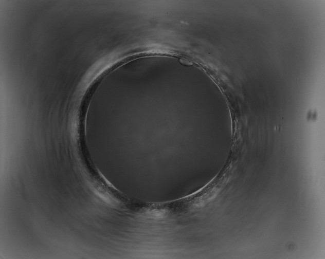 X0000101140247200807071132