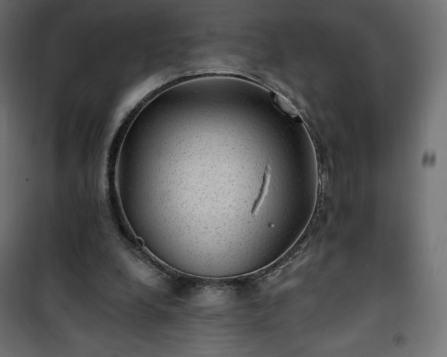 X0000101140248200807071132