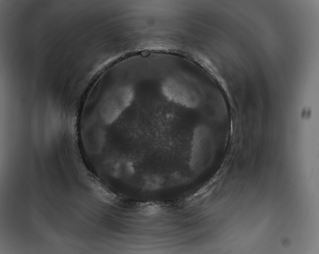 X0000101140249200807071132