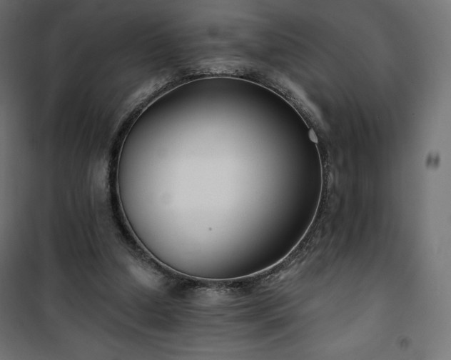 X0000101140250200807071132