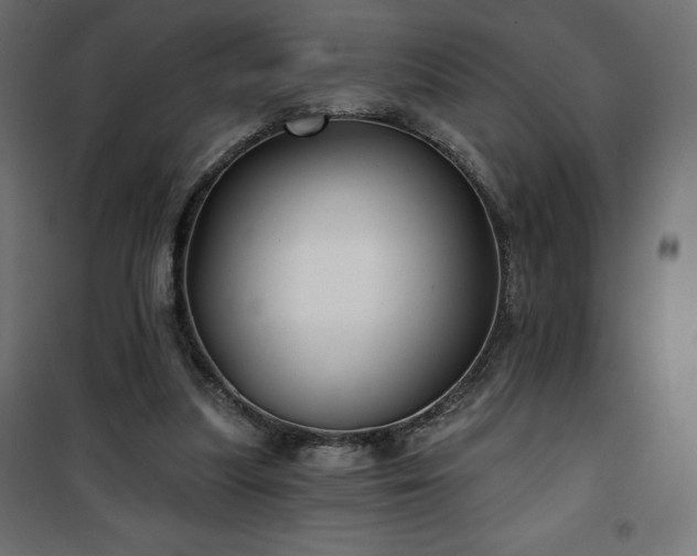 X0000101140251200807071132