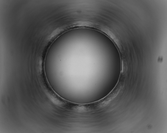 X0000101140253200807071132