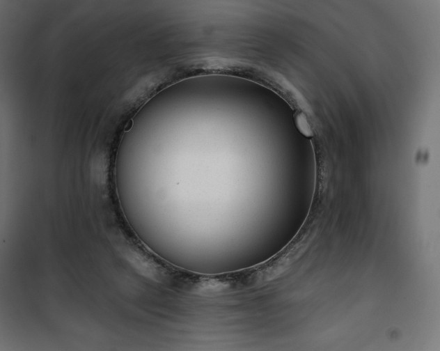 X0000101140257200807071132