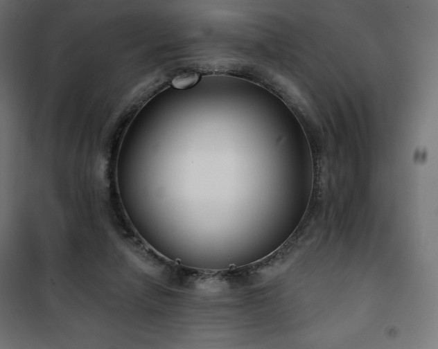 X0000101140258200807071133