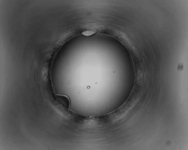 X0000101140259200807071133