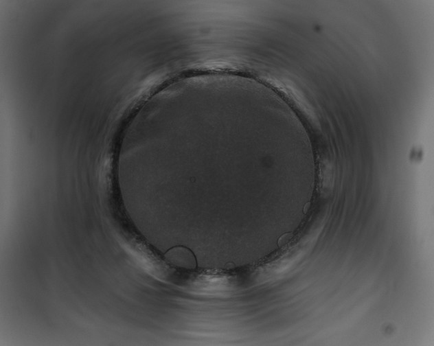 X0000101140260200807071133