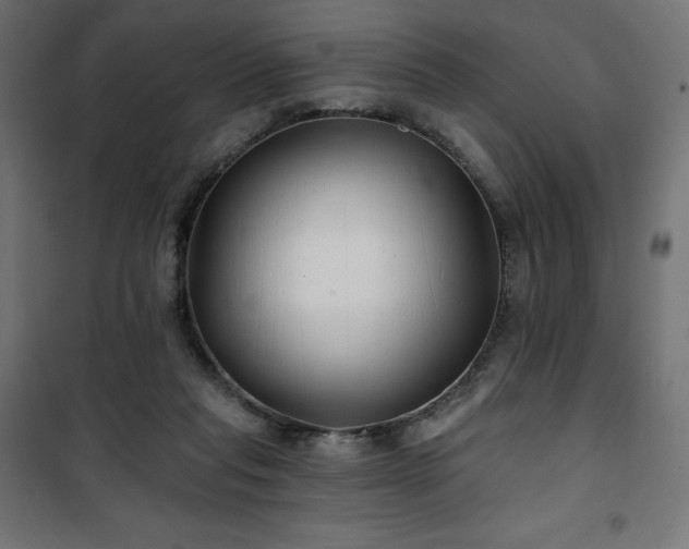 X0000101140261200807071133