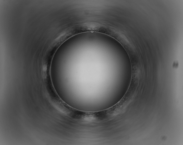 X0000101140262200807071133