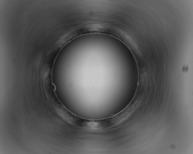 X0000101140265200807071133