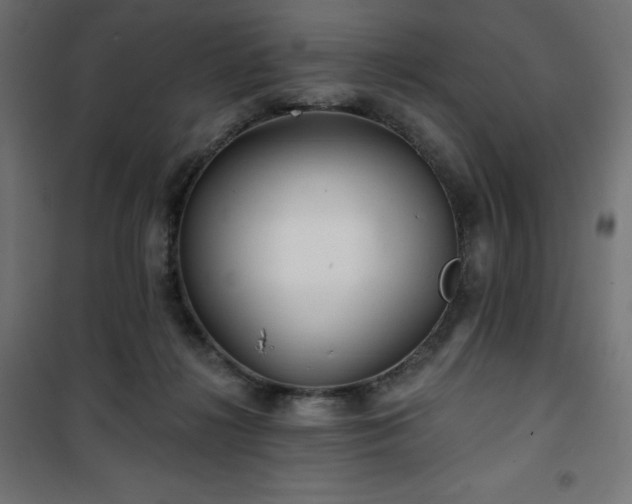 X0000101140268200807071133