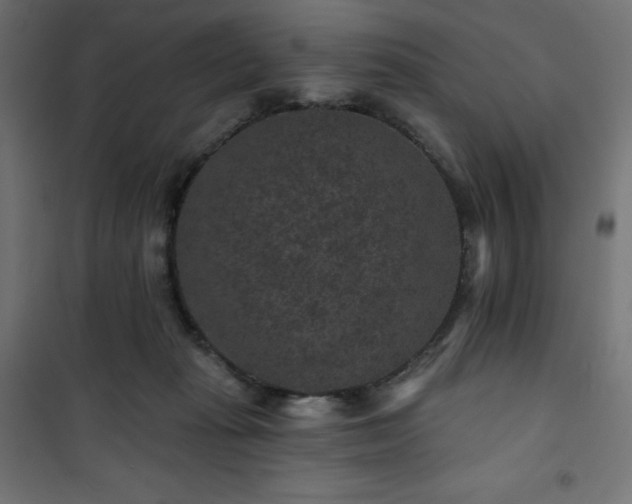 X0000101140269200807071133