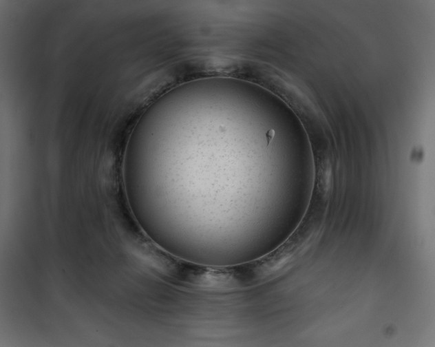 X0000101140270200807071133