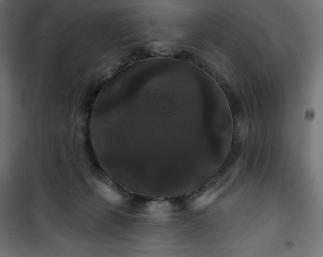 X0000101140271200807071133