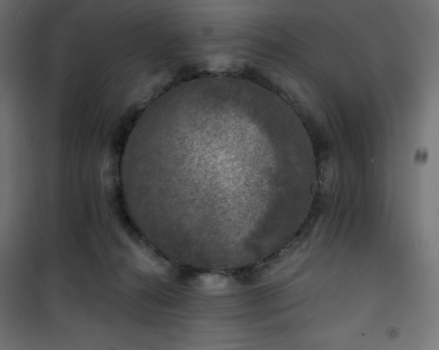 X0000101140272200807071133