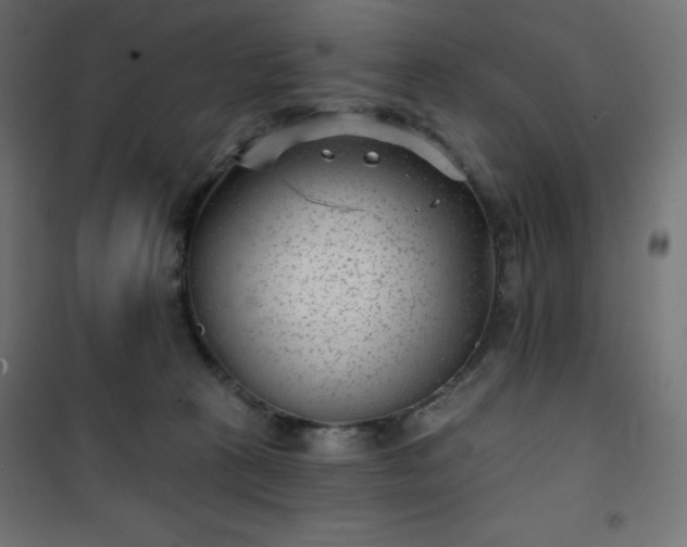 X0000101140273200807071133