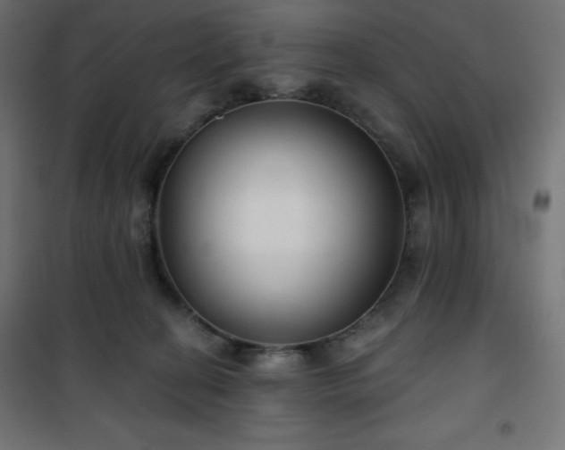 X0000101140274200807071133