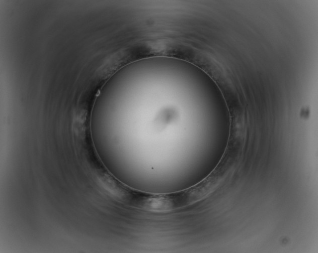 X0000101140275200807071133