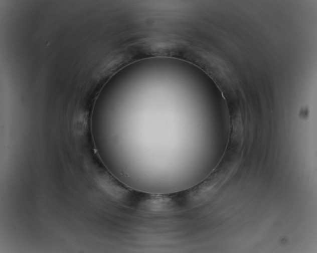 X0000101140278200807071133