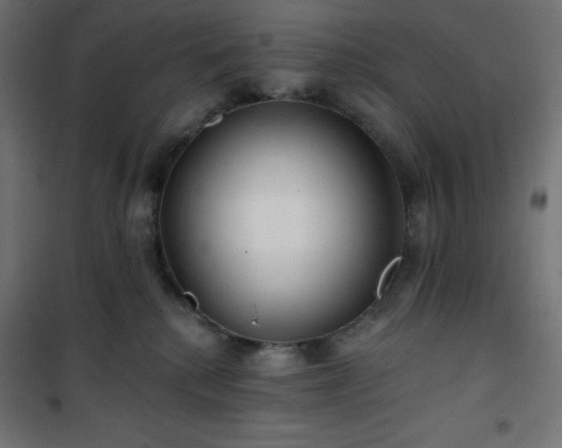 X0000101140280200807071133