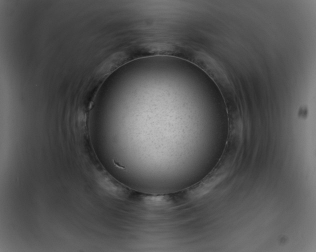 X0000101140281200807071133