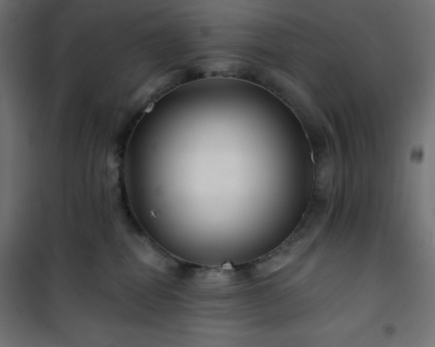 X0000101140282200807071133