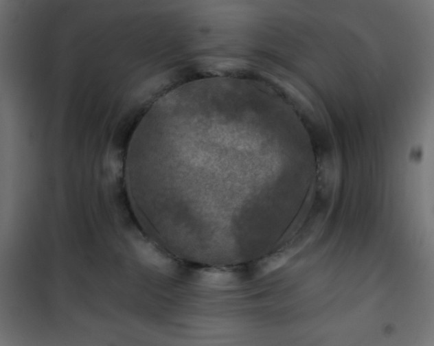 X0000101140284200807071133