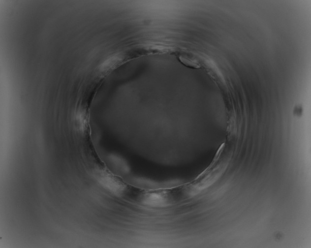 X0000101140285200807071133