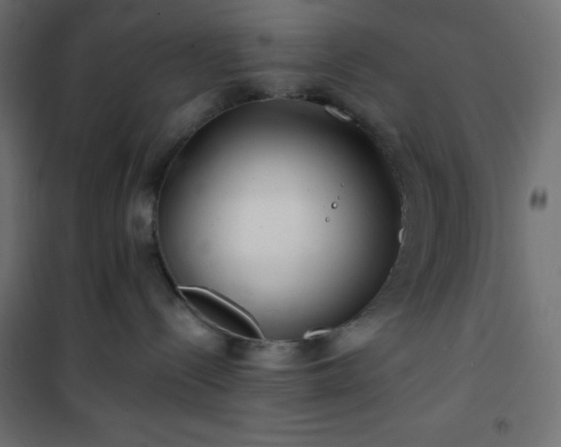 X0000101140288200807071133