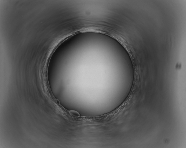 X0000101140289200807071132