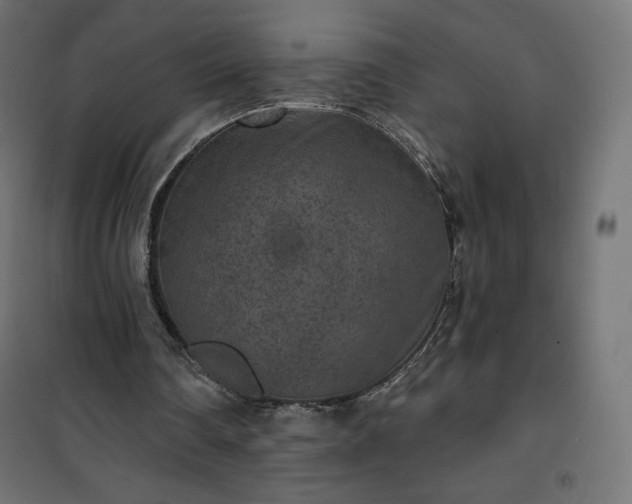 X0000101140290200807071132