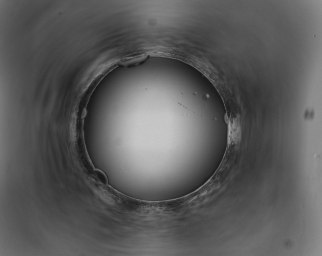 X0000101140291200807071132