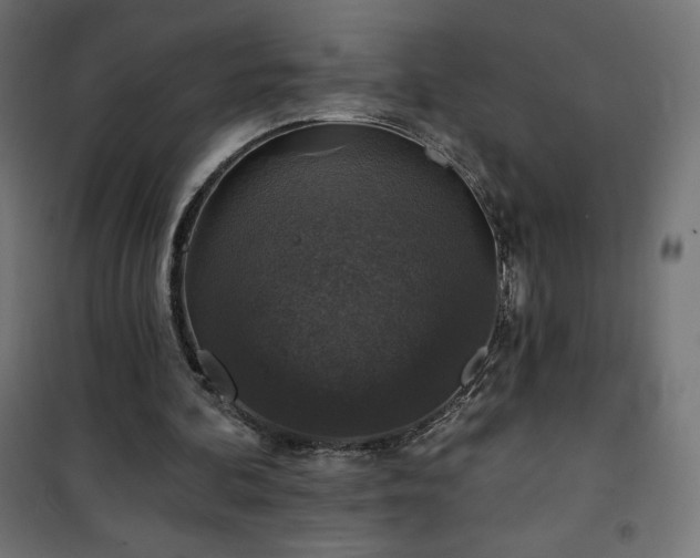 X0000101140292200807071132