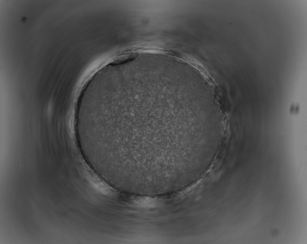 X0000101140293200807071132