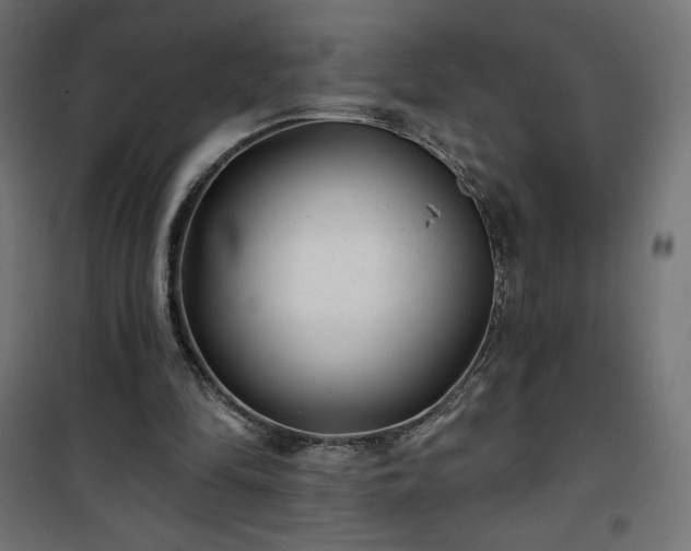 X0000101140294200807071132