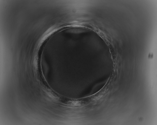 X0000101140295200807071132