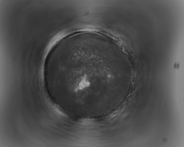 X0000101140296200807071132