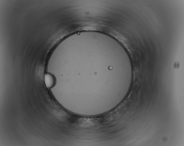 X0000101140297200807071132