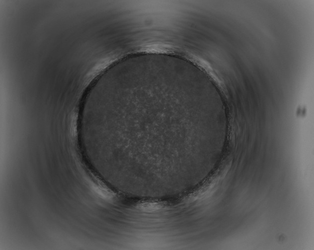 X0000101140299200807071132