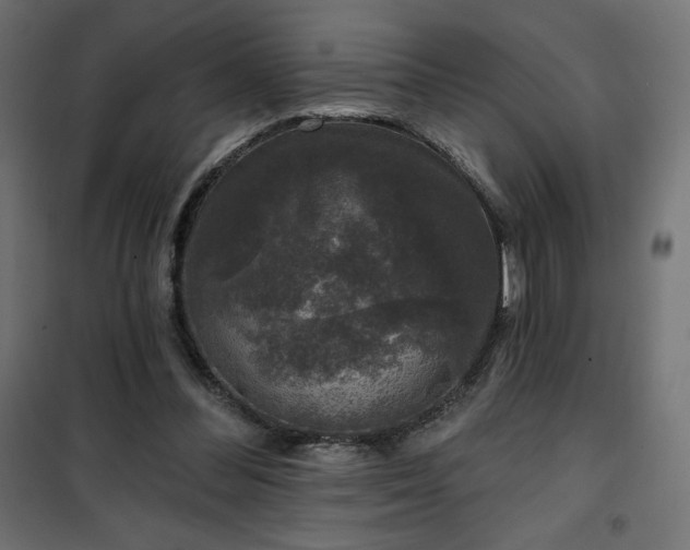 X0000101140300200807071132