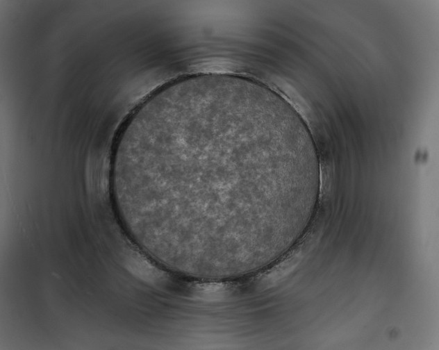 X0000101140301200807071132